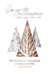 Faltkarte - Weihnachten 1.Johannes 4,14