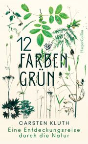 12 Farben Grün Kluth, Carsten 9783749900152