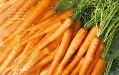 Vesperbrettchen / Frühstücksbrettchen Karotten