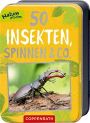 50 Insekten, Spinnen & Co. Haag, Holger 9783649647300