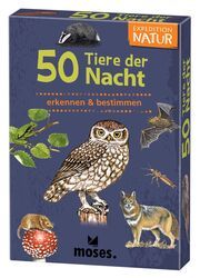 50 Tiere der Nacht Von Kessel, Carola 4033477098658
