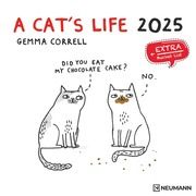 A Cat's Life 2025 - Wand-Kalender - Broschüren-Kalender - 30x30 - 30x60 geöffnet - Katzen - Cartoon Correll, Gemma 4002725987891