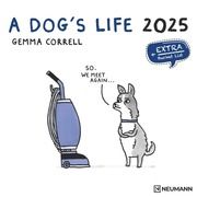 A Dog's Life 2025 - Wand-Kalender - Broschüren-Kalender - 30x30 - 30x60 geöffnet - Hunde - Cartoon Correll, Gemma 4002725994028