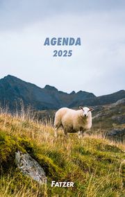 Agenda 2025  9783866038103