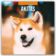 Akitas - Akita 2025 - 16-Monatskalender  9781804424179