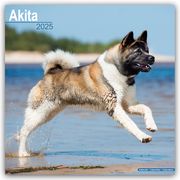 Akitas 2025 - 16-Monatskalender  9781804603031