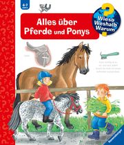 Alles über Pferde und Ponys Erne, Andrea 9783473332588