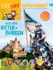 Alles über Ritter + Burgen Wetscher, Rosa 9783652011051