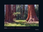 Alte Bäume, Sinnbilder des Lebens - KUNTH Wandkalender 2025  9783965913349