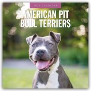 American Pit Bull Terriers - American Pit Bull Terrier 2025 - 16-Monatskalender  9781804424193