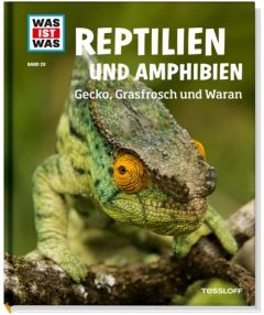 Amphibien und Reptilien - Gecko, Grasfrosch und Waran Rigos, Alexandra 9783788620530