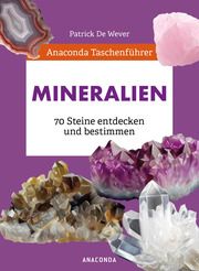 Anaconda Taschenführer Gesteine und Minerale. 70 Steine entdecken und bestimmen De Wever, Patrick 9783730611562