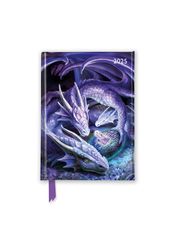 Anne Stokes - Willkommen Drachenbaby - Taschenkalender 2025  9781835621493