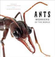 Ants - Workers of the World Rice, Eleanor Spicer/Niga, Eduard Florin 9781419748493