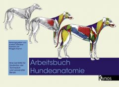 Arbeitsbuch Hundeanatomie Gisela Rau 9783954640140