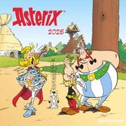 Asterix 2025 - Wand-Kalender - Broschüren-Kalender - 30x30 - 30x60 geöffnet - Cartoon Uderzo, Albert 4002725987907