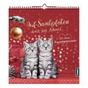 Auf Samtpfoten durch den Advent Wendler, Heike 9783746261584