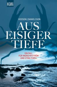 Aus eisiger Tiefe Voosen, Roman/Danielsson, Kerstin Signe 9783462046946