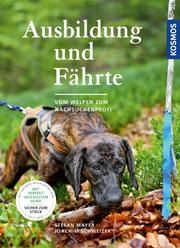 Ausbildung und Fährte Mayer, Stefan/Schweizer, Joachim 9783440167335