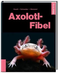 Axolotl-Fibel Hoedt, Werner/Schneider, Maite/Weinzierl, Friederike 9783944821153