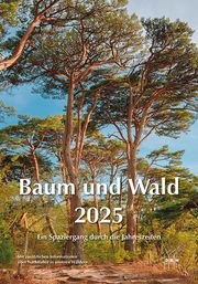 Baum und Wald 2025  9783871819612