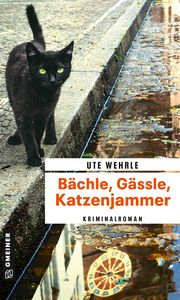 Bächle, Gässle, Katzenjammer Wehrle, Ute 9783839201022