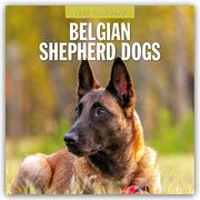 Belgian Shepherd - Belgischer Schäferhund 2025 - 16-Monatskalender  9781804424278