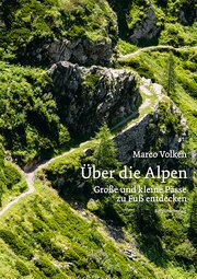 Über die Alpen Volken, Marco 9783039730247