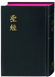 Bibel Chinesisch (Shangti Edition)  9783438081421