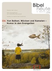 Bibel heute / Von Balken, Mücken und Kamelen Kath Bibelwerk e V 9783948219277