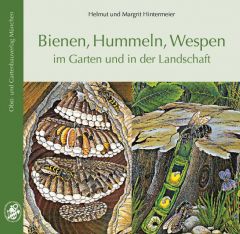 Bienen, Hummeln, Wespen im Garten und in der Landschaft Hintermeier, Helmut/Hintermeier, Margrit 9783875961232