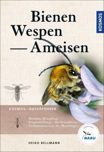 Bienen, Wespen, Ameisen Bellmann, Heiko 9783440146675