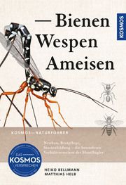 Bienen, Wespen, Ameisen Bellmann, Heiko/Helb, Matthias 9783440179826