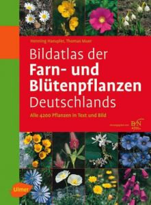 Bildatlas der Farn- und Blütenpflanzen Deutschlands Haeupler, Henning/Muer, Thomas u a 9783800149902