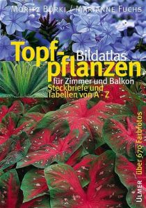 Bildatlas Topfpflanzen für Zimmer und Balkon Bürki, Moritz/Fuchs, Marianne 9783800146543