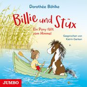 Billie und Stüx - Ein Pony fällt vom Himmel Böhlke, Dorothée 9783833746253