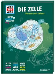 Biologie. Die Zelle Baur, Manfred (Dr.) 9783788676964