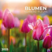 Blumen 2025  9783959294706