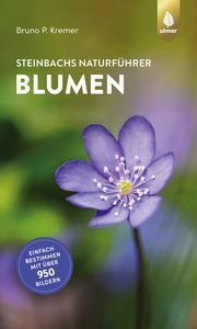 Blumen Kremer, Bruno P 9783818614218