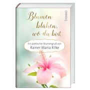 Blumen blühen, wo du bist Rilke, Rainer Maria 9783746255644