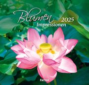 Blumen Impressionen 2025  9783866038134
