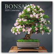 Bonsai - Bonsaibäume 2025 - 16-Monatskalender  9781837889501