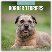 Border Terriers - Border Terrier 2025 - 16-Monatskalender  9781804424346