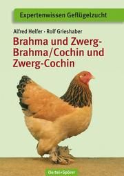 Brahma und Zwerg-Brahma/Cochin und Zwerg-Cochin Helfer, Alfred/Grieshaber, Rolf 9783886275472