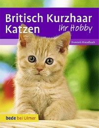 Britisch Kurzhaar Katzen Kieselbach, Dominik/Betz, Heidi 9783800169740