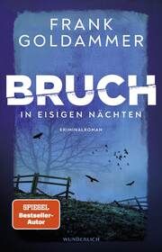 Bruch: In eisigen Nächten Goldammer, Frank 9783805200912