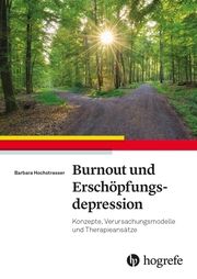 Burnout und Erschöpfungsdepression Hochstrasser, Barbara 9783456856933