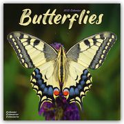 Butterflies - Schmetterlinge 2025 - 16-Monatskalender  9781804604229