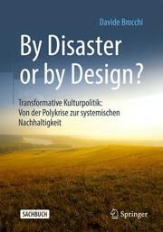 By Disaster or by Design? Brocchi, Davide (Dr.) 9783658423162