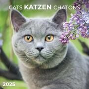 Cats/Katzen 2025  9783959294522